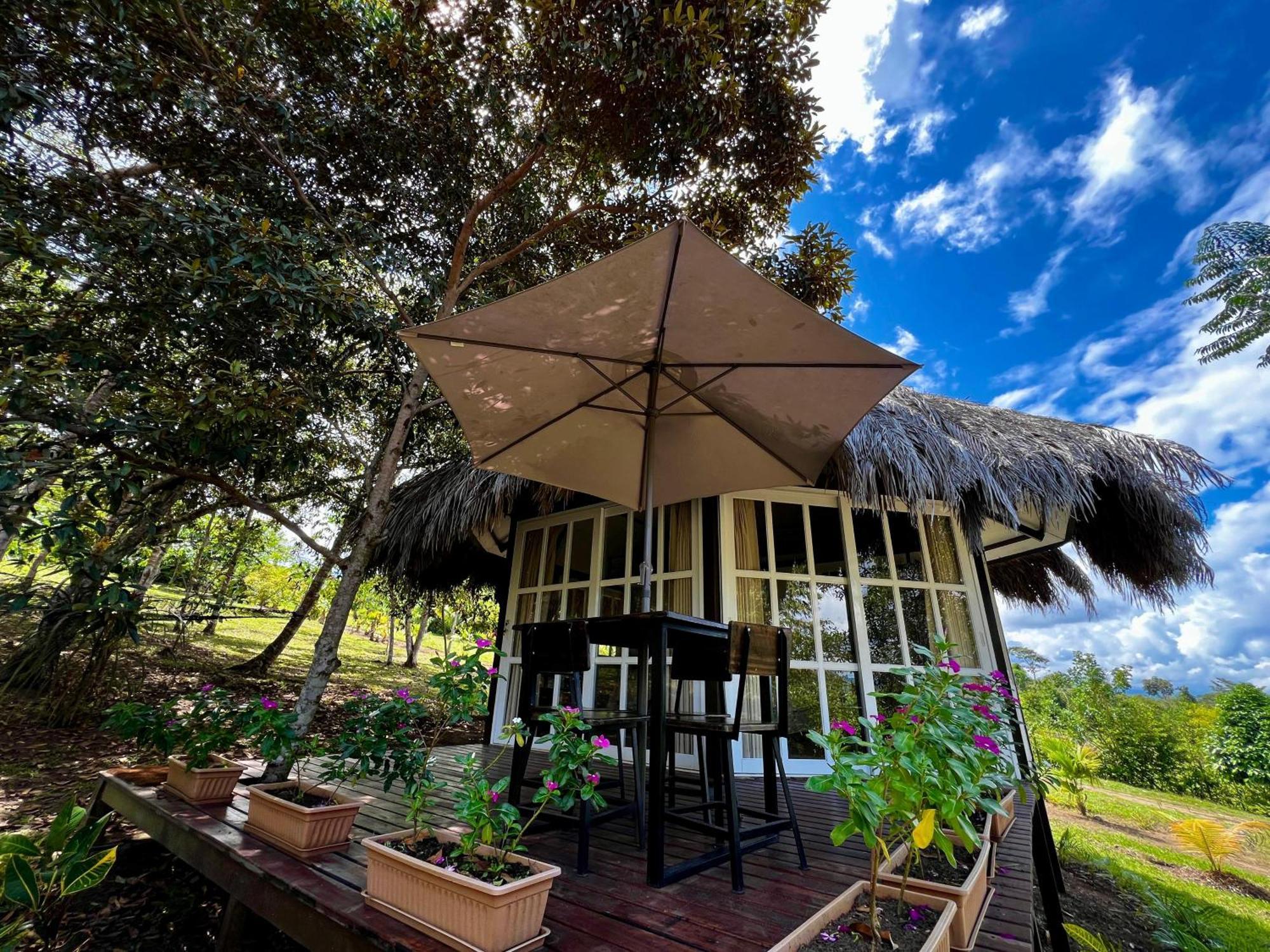 El Resort De Yanashpa - Tarapoto Rum bild